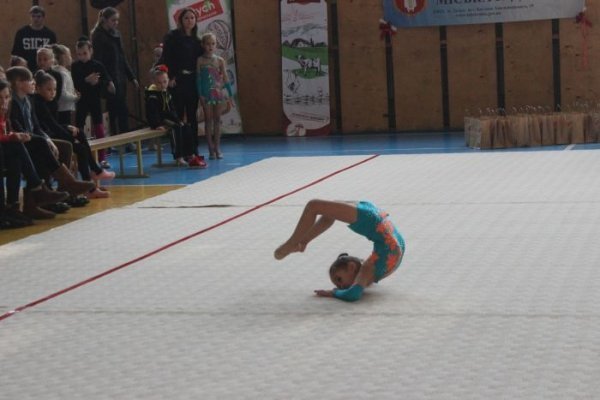 У Луцьку визначили кращих гімнасток. ФОТО