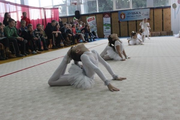 У Луцьку визначили кращих гімнасток. ФОТО