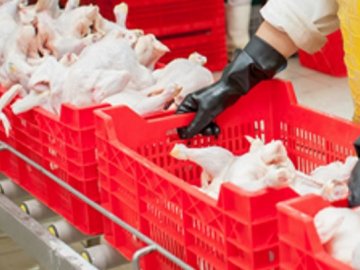 На птахофабриці у Володимирі прокоментували спалах коронавірусу серед працівників