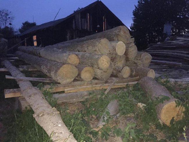 У районі на Волині викрили підпільну пилораму. ФОТО