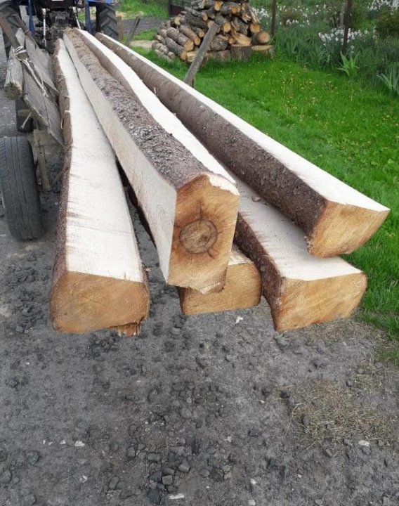 У районі на Волині викрили підпільну пилораму. ФОТО