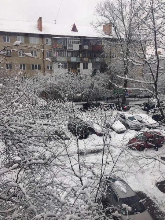 Засніжена парковка з вікна студентки Софії Ройко