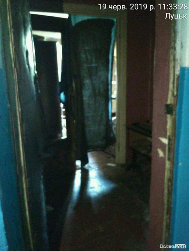 Нестерпний сморід: лучанин перетворив квартиру на розплідник тарганів. ФОТО