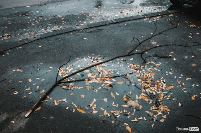 Похмура осінь у Луцьку. ФОТО