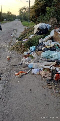 У Нововолинську сміття викидають просто на тротуар. ФОТО