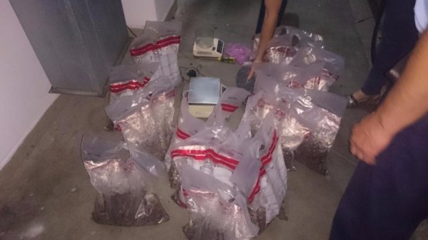 Колишній прикордонник хотів вивезти з України 42 кг бурштину. ФОТО. ВІДЕО