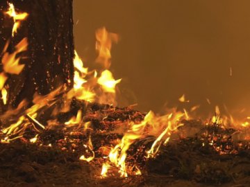 У Луцьку – пожежа в лазні