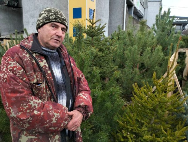 Скільки коштує ялинка в Луцьку