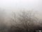 Паморозь і густий туман: чарівний ранок у Луцьку. ФОТО