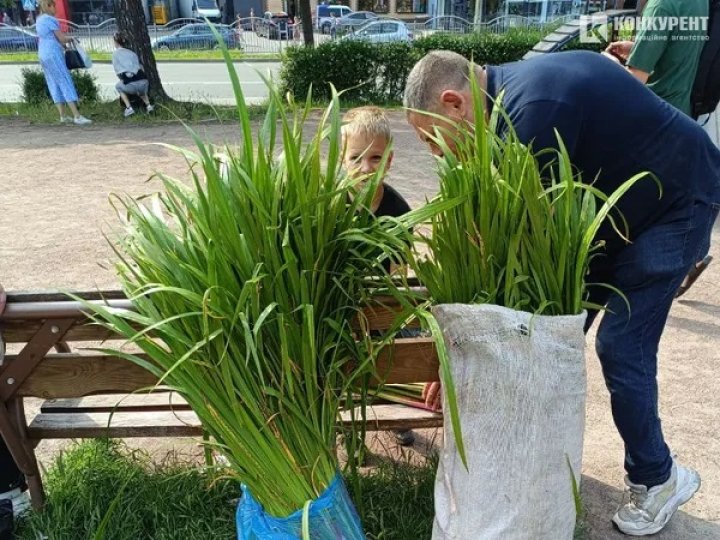 Скільки коштує лепеха на луцьких ринках