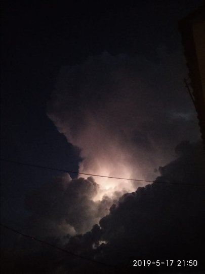 Інна Сайчук Шипа