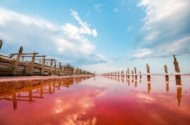 Цілюще рожеве озеро на Херсонщині, яке не має аналогів у світі. ФОТО