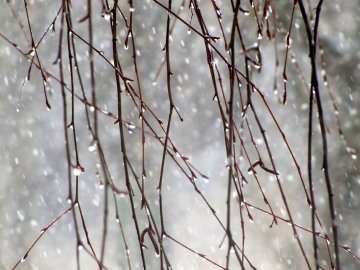 Погода у Луцьку на завтра, 25 лютого