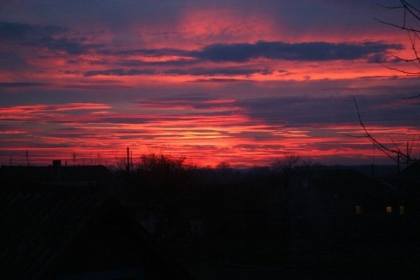 Фото «типового» Володимира