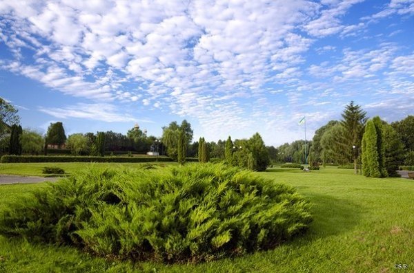 Фото «типового» Володимира