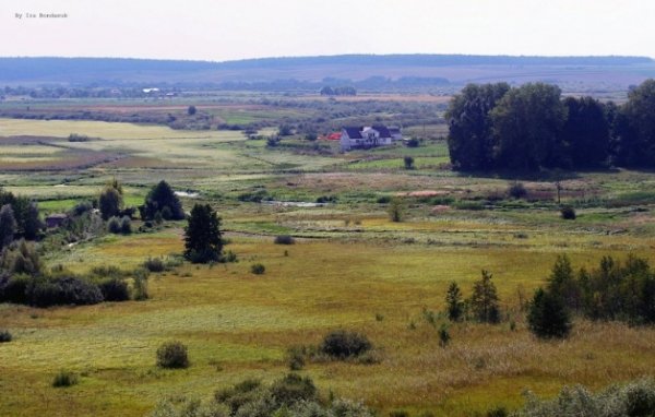 Фото «типового» Володимира