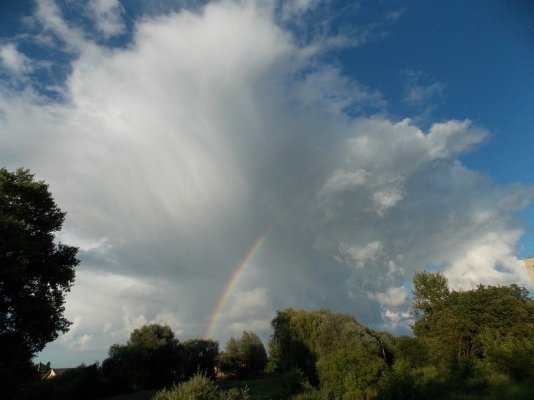 Фото «типового» Володимира