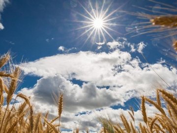 Погода в Луцьку та Волинській області на вихідні, 1 і 2 вересня