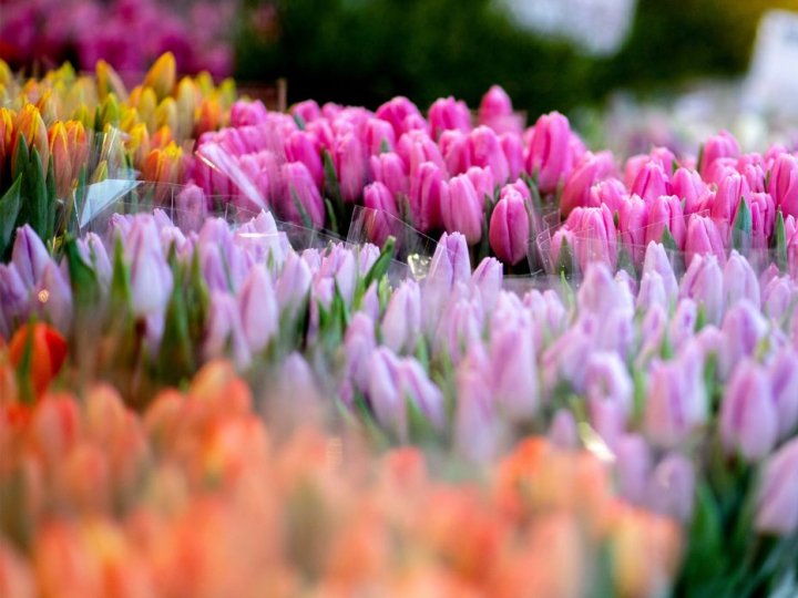 Якою буде погода у Луцьку та на Волині 8 березня