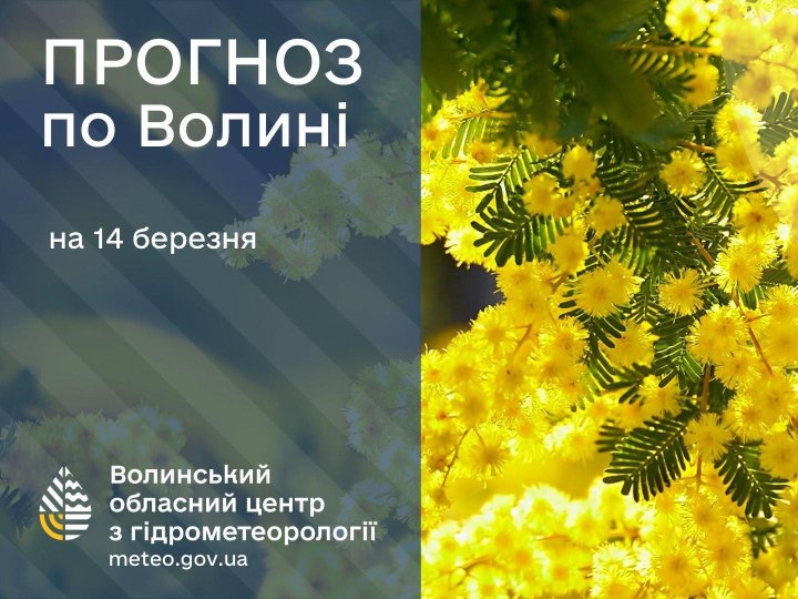 Якою буде погода у Луцьку та на Волині 14 березня