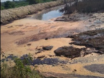 Через забруднення повітря Гнідавський завод оштрафували на 425 гривень