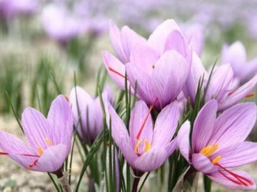 Погода в Луцьку та Волинській області на четвер, 9 квітня