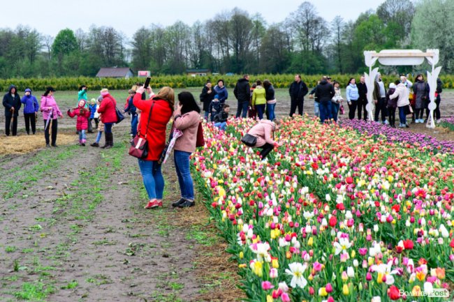 Попри негоду «Волинська Голландія» гостинно зустрічає гостей. ФОТО