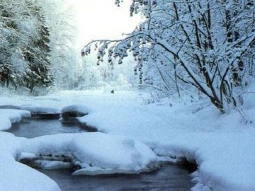 Погода в Луцьку та Волинській області на завтра, 14 лютого