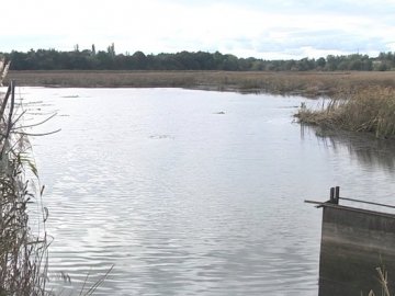 У селі біля Луцька спускають воду зі ставків, які знаходяться у заказнику. ВІДЕО