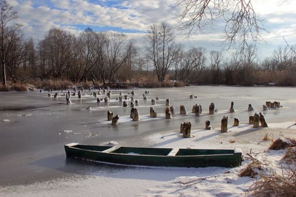 Красиві фото зими у волинському Поліссі 