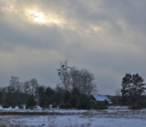 Красиві фото зими у волинському Поліссі 