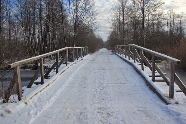 Красиві фото зими у волинському Поліссі 
