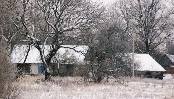 Красиві фото зими у волинському Поліссі 