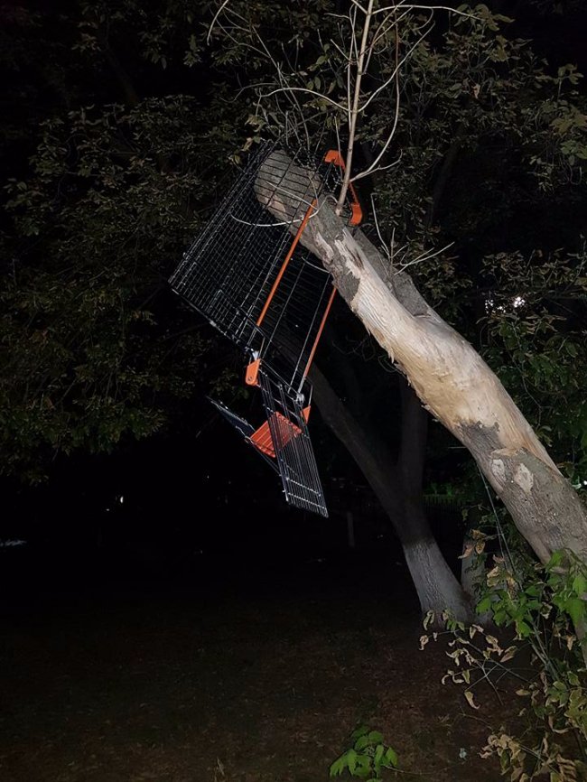 Сміття, порожні пляшки та катання на крадених візках: як студенти КПІ відсвяткували 1 вересня