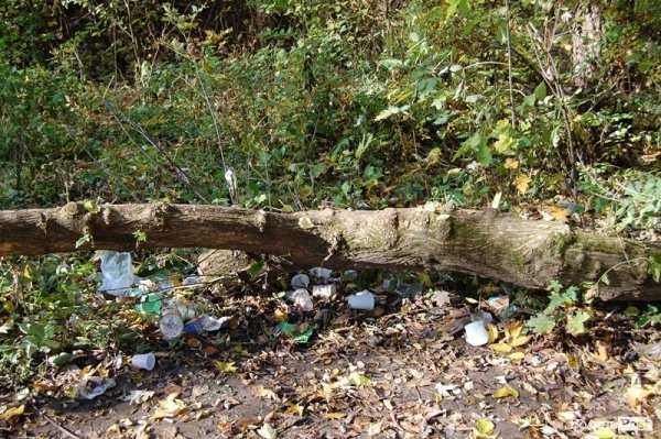 Парк у Луцьку: осіння краса і людська байдужість. ФОТО