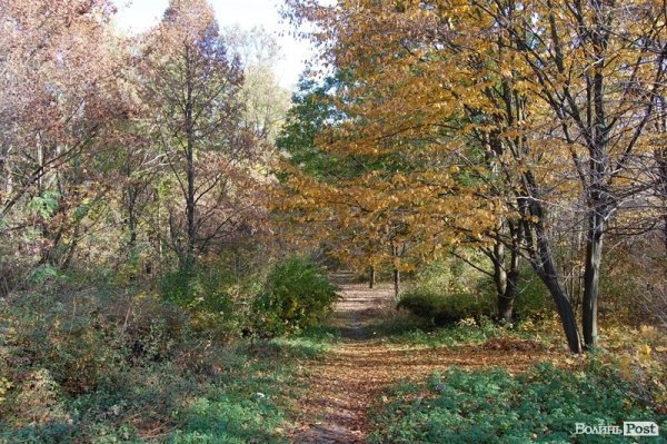 Парк у Луцьку: осіння краса і людська байдужість. ФОТО