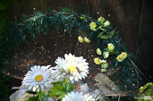 На кладовищі Луцька повалені пам'ятники, а могили заросли чагарниками. ФОТО
