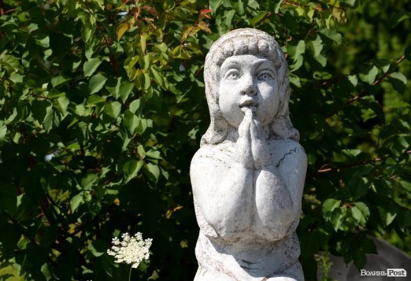 На кладовищі Луцька повалені пам'ятники, а могили заросли чагарниками. ФОТО