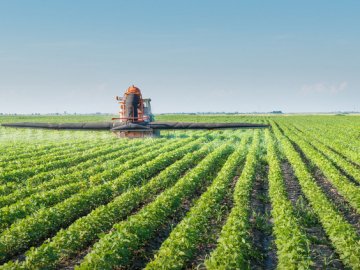 По 5 тисяч на гектар: Кабмін анонсував  субсидію для малих фермерів