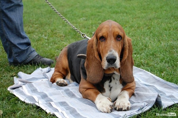 ФОТОРІК-2012. Частина друга