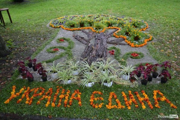 У Луцьку  - квіткова виставка до Дня Незалежності. ФОТО