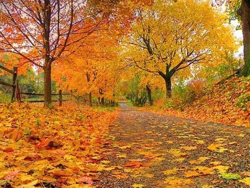 В Україну прийде потепління