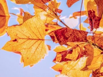 Погода в Луцьку та Волинській області на вівторок, 20 жовтня