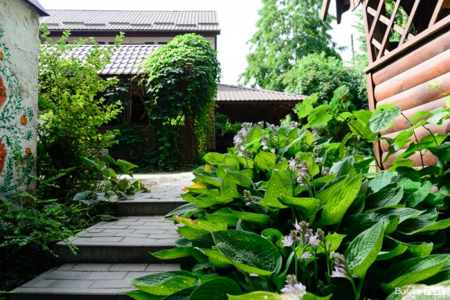 Добірне м’ясо та нечувана гостинність: у Луцьку сьогодні – відкриття першого кафе-бару «Retro ШашликЯН». ФОТО 