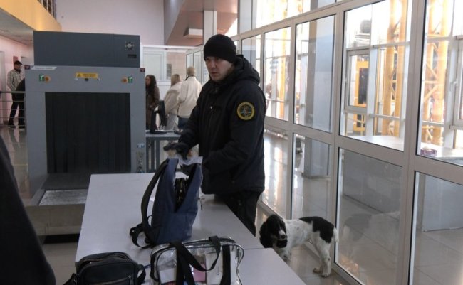 Як службові собаки допомагають шукати наркотики на волинському кордоні. ФОТО, ВІДЕО