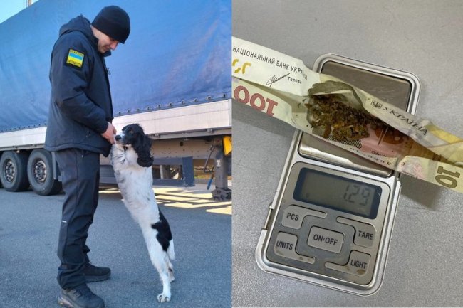 Як службові собаки допомагають шукати наркотики на волинському кордоні. ФОТО, ВІДЕО