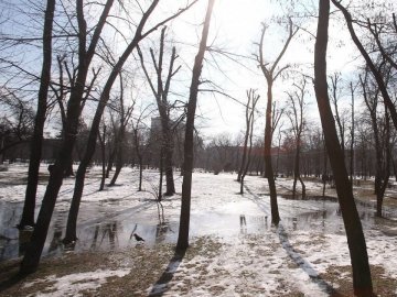 Якою буде погода у Луцьку та Волинській області завтра, 12 лютого