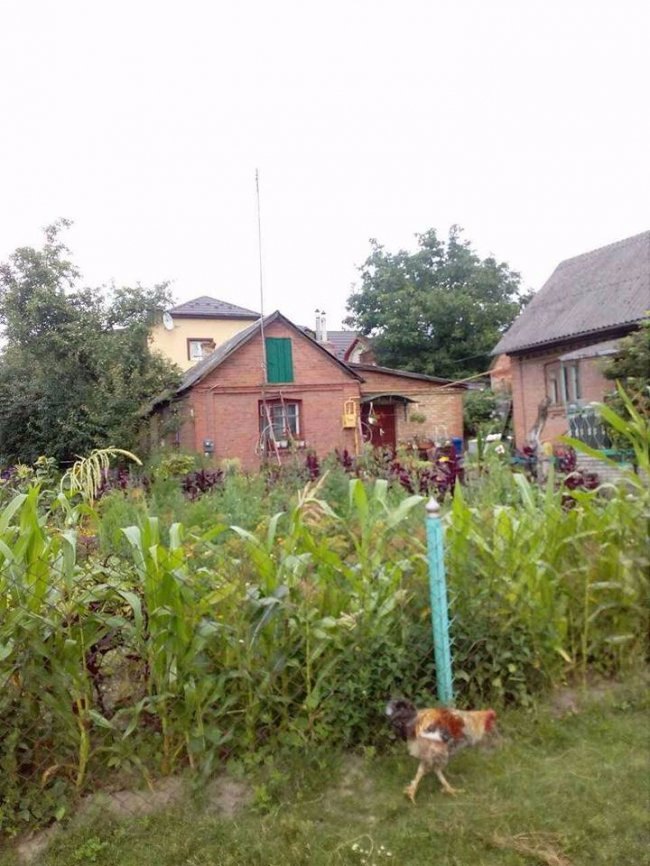 Оптом і в роздріб: лучанку зловили на продажі сурогату