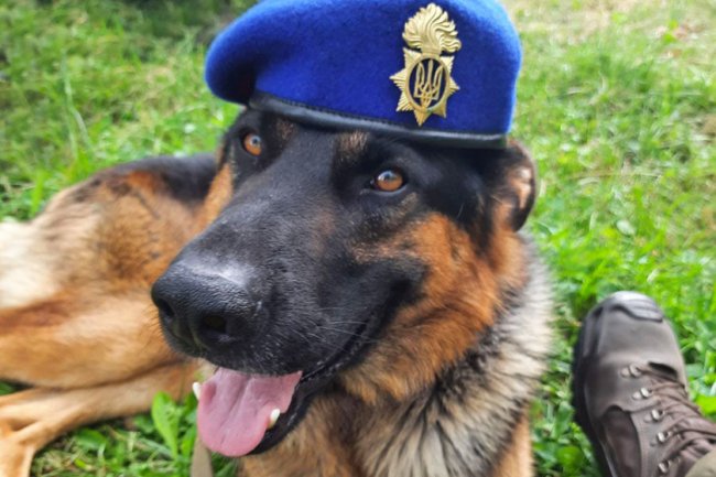 Луцький нацгвардієць разом з чотирилапим напарником візьме участь у параді до Дня незалежності України