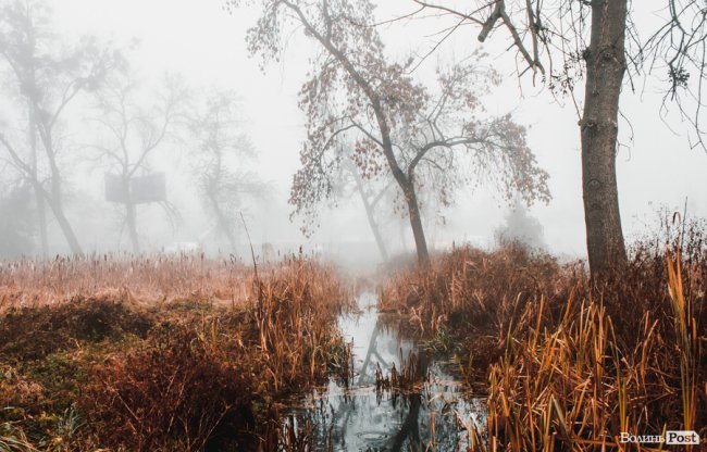 Туманний Луцьк: неймовірні фото 